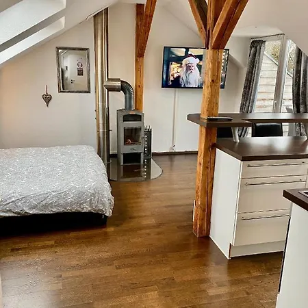 Wohnen Ueber Den Daechern Von Ravensburg, Stadtnah, Kamin, Klima *