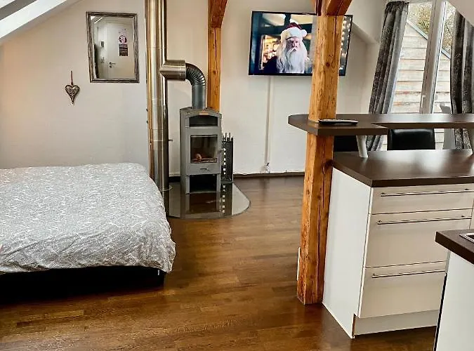 Wohnen Ueber Den Daechern Von Ravensburg, Stadtnah, Kamin, Klima *